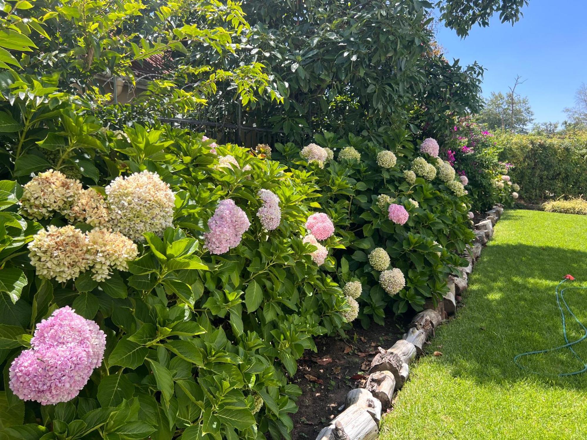 Luxery Gem In Stellenbosch Lägenhet Exteriör bild